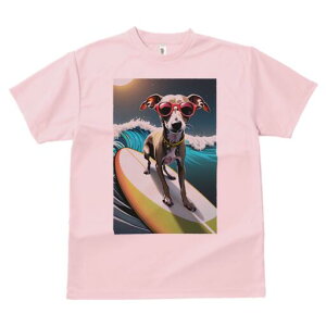 C^AO[nEh TVc fB[X t@  t  vg JWA 킢 lԗp h ̃fUC ʔ T[tB C^AO[nEh g T