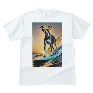 C^AO[nEh TVc fB[X t@  t  vg JWA 킢 lԗp h ̃fUC ʔ T[tB C^AO[nEh C g 