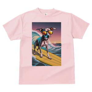 C^AO[nEh TVc Y LbY t@  t  vg JWA 킢 lԗp h ̃fUC ʔ T[tB C^AO[nEh g 