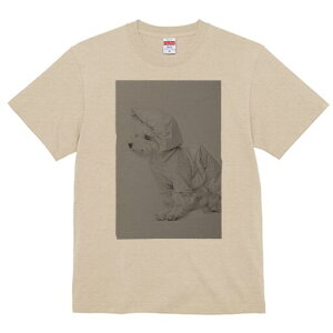 EGXgnChzCgeA TVc fB[X t@  t  vg JWA 킢 lԗp h ̃fUC ʔ CR[g EGXgnChz