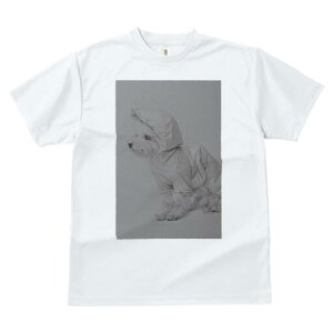 EGXgnChzCgeA TVc fB[X t@  t  vg JWA 킢 lԗp h ̃fUC ʔ CR[g EGXgnChz