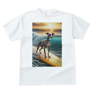 C^AO[nEh TVc fB[X t@  t  vg JWA 킢 lԗp h ̃fUC ʔ T[tB C^AO[nEh C g 