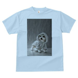 }`[Y TVc fB[X t@  t  vg JWA 킢 lԗp h ̃fUC ʔ t[h }`[Y J