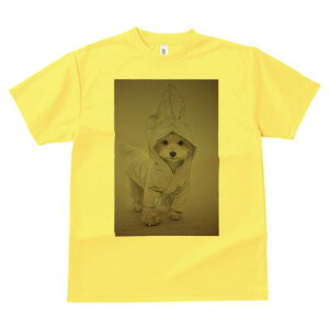 }`[Y TVc fB[X t@  t  vg JWA 킢 lԗp h ̃fUC ʔ CR[g }`[Y t[h