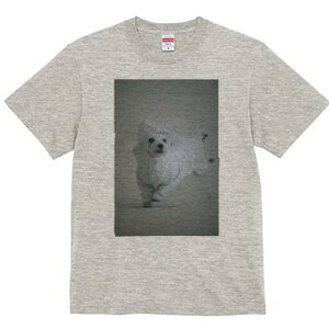 }`[Y TVc fB[X t@  t  vg JWA 킢 lԗp h ̃fUC ʔ CR[g }`[Y