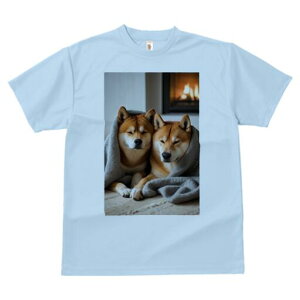 Č TVc fB[X t@  t  vg JWA 킢 lԗp h ̃fUC ʔ gF Č ѕz