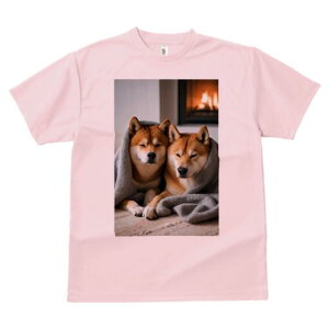 Č TVc fB[X t@  t  vg JWA 킢 lԗp h ̃fUC ʔ gF Č ѕz