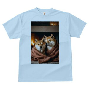 Č TVc fB[X t@  t  vg JWA 킢 lԗp h ̃fUC ʔ gF Č ѕz Lh