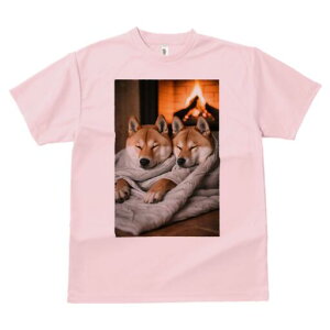 Č TVc fB[X t@  t  vg JWA 킢 lԗp h ̃fUC ʔ gF Č ѕz g ~