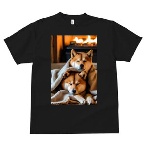 Č TVc fB[X t@  t  vg JWA 킢 lԗp h ̃fUC ʔ gF Č ѕz