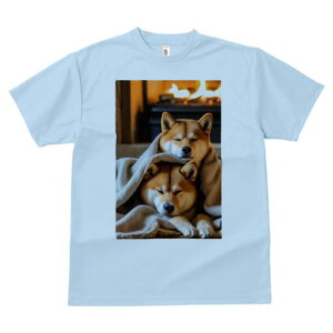 Č TVc fB[X t@  t  vg JWA 킢 lԗp h ̃fUC ʔ gF Č ѕz