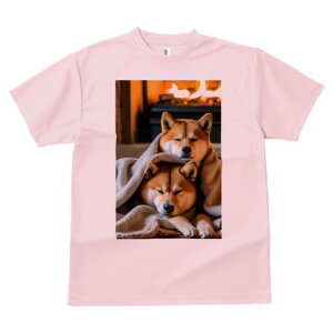 Č TVc fB[X t@  t  vg JWA 킢 lԗp h ̃fUC ʔ gF Č ѕz