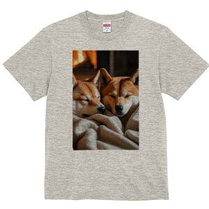 Č TVc fB[X t@  t  vg JWA 킢 lԗp h ̃fUC ʔ gF Č ѕz  x