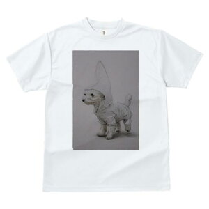 ウェストハイランドホワイトテリア Tシャツ レディース 犬ファン 半袖 春夏 犬柄 プリント カジュアル かわいい 人間用 個性派 ここだけのデザイン 面白 レインコート ウェストハイランドホ