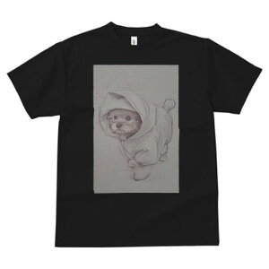 }`[Y TVc fB[X t@  t  vg JWA 킢 lԗp h ̃fUC ʔ t[h }`[Y 