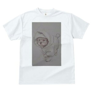 }`[Y TVc fB[X t@  t  vg JWA 킢 lԗp h ̃fUC ʔ t[h }`[Y 