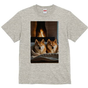 Č TVc fB[X t@  t  vg JWA 킢 lԗp h ̃fUC ʔ gF Č