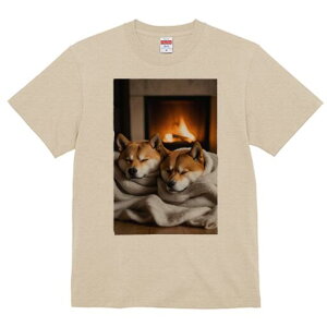 Č TVc fB[X t@  t  vg JWA 킢 lԗp h ̃fUC ʔ gF Č ѕz g bNX