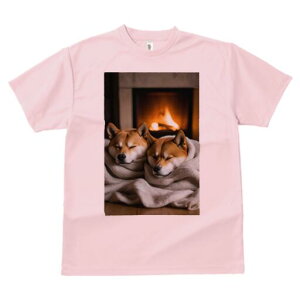 Č TVc fB[X t@  t  vg JWA 킢 lԗp h ̃fUC ʔ gF Č ѕz g bNX