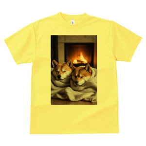 Č TVc fB[X t@  t  vg JWA 킢 lԗp h ̃fUC ʔ gF Č ѕz g bNX