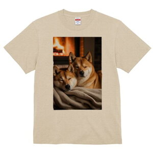 Č TVc fB[X t@  t  vg JWA 킢 lԗp h ̃fUC ʔ gF Č ѕz