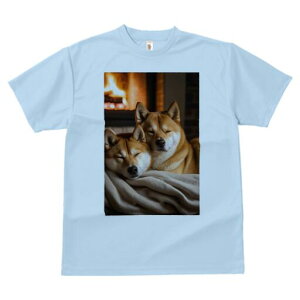 Č TVc fB[X t@  t  vg JWA 킢 lԗp h ̃fUC ʔ gF Č ѕz