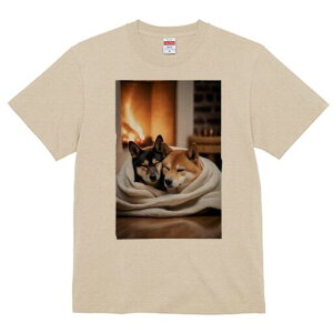 Č TVc fB[X t@  t  vg JWA 킢 lԗp h ̃fUC ʔ gF Č ѕz g  bNX