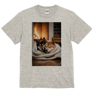 Č TVc fB[X t@  t  vg JWA 킢 lԗp h ̃fUC ʔ gF Č ѕz g  bNX