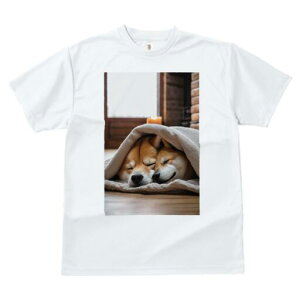 Č TVc fB[X t@  t  vg JWA 킢 lԗp h ̃fUC ʔ Lh Č  K