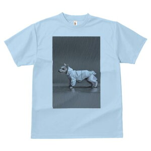 EGXgnChzCgeA TVc fB[X t@  t  vg JWA 킢 lԗp h ̃fUC ʔ J EGXgnChzCge