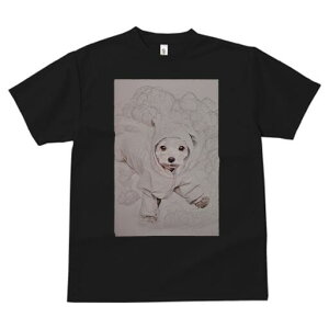 }`[Y TVc fB[X t@  t  vg JWA 킢 lԗp h ̃fUC ʔ p[J[ }`[Y