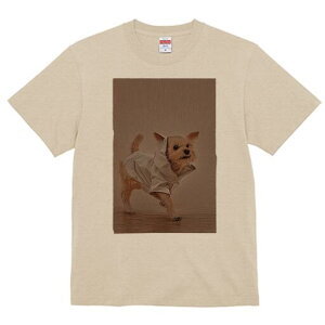 [NV[eA TVc fB[X t@  t  vg JWA 킢 lԗp h ̃fUC ʔ t[ht [NV[eA 