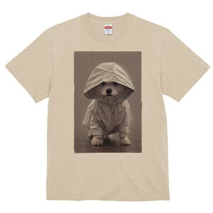 }`[Y TVc fB[X t@  t  vg JWA 킢 lԗp h ̃fUC ʔ J }`[Y CR[g