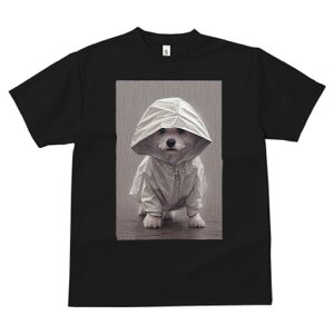 }`[Y TVc fB[X t@  t  vg JWA 킢 lԗp h ̃fUC ʔ J }`[Y CR[g