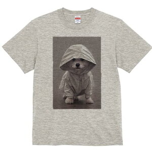 }`[Y TVc fB[X t@  t  vg JWA 킢 lԗp h ̃fUC ʔ J }`[Y CR[g