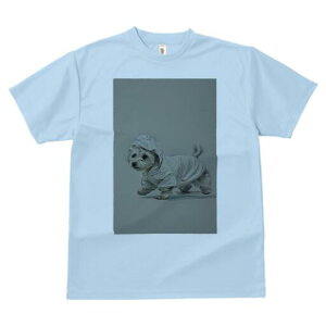 EGXgnChzCgeA TVc fB[X t@  t  vg JWA 킢 lԗp h ̃fUC ʔ CR[g EGXgnChz