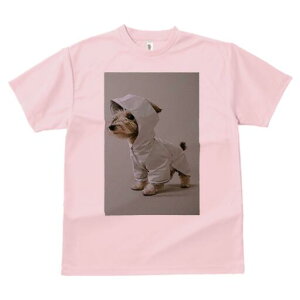 m[tH[NeA TVc fB[X t@  t  vg JWA 킢 lԗp h ̃fUC ʔ CR[g m[tH[NeA