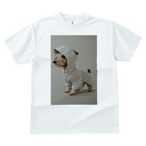 m[tH[NeA TVc fB[X t@  t  vg JWA 킢 lԗp h ̃fUC ʔ CR[g m[tH[NeA