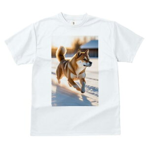 Č TVc fB[X t@  t  vg JWA 킢 lԗp h ̃fUC ʔ  Č ~ 