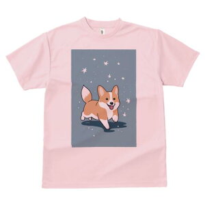 R[M[ TVc fB[X t@  t  vg JWA 킢 lԗp h ̃fUC ʔ  R[M[