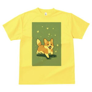 R[M[ TVc fB[X t@  t  vg JWA 킢 lԗp h ̃fUC ʔ  R[M[