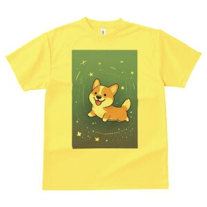 R[M[ TVc fB[X t@  t  vg JWA 킢 lԗp h ̃fUC ʔ  R[M[ F