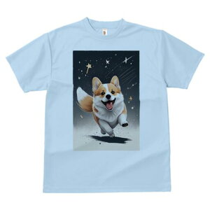 R[M[ TVc fB[X t@  t  vg JWA 킢 lԗp h ̃fUC ʔ  R[M[ F 킢 Ί