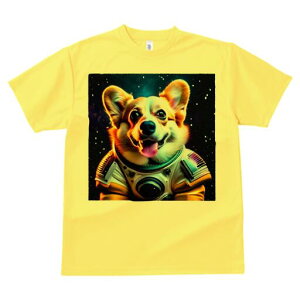 R[M[ TVc fB[X t@  t  vg JWA 킢 lԗp h ̃fUC ʔ F R[M[ F 