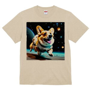 R[M[ TVc fB[X t@  t  vg JWA 킢 lԗp h ̃fUC ʔ F R[M[ F 