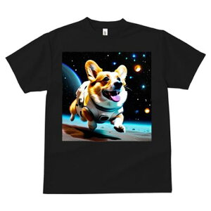 R[M[ TVc fB[X t@  t  vg JWA 킢 lԗp h ̃fUC ʔ F R[M[ F 