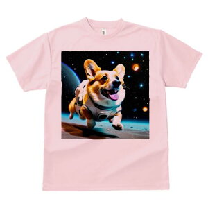 R[M[ TVc fB[X t@  t  vg JWA 킢 lԗp h ̃fUC ʔ F R[M[ F 