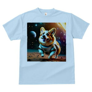 R[M[ TVc fB[X t@  t  vg JWA 킢 lԗp h ̃fUC ʔ F R[M[ f F