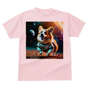 R[M[ TVc fB[X t@  t  vg JWA 킢 lԗp h ̃fUC ʔ F R[M[ f F