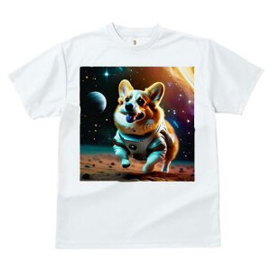 R[M[ TVc fB[X t@  t  vg JWA 킢 lԗp h ̃fUC ʔ F R[M[ f F